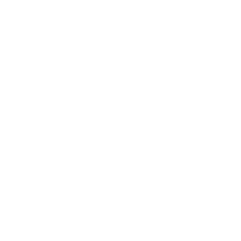 Enterprise-grade beveiliging — jouw data blijft in België