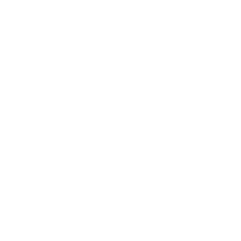 Een icoon voor servers