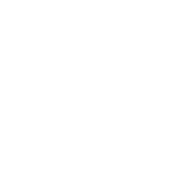 Een icoon voor webhosting